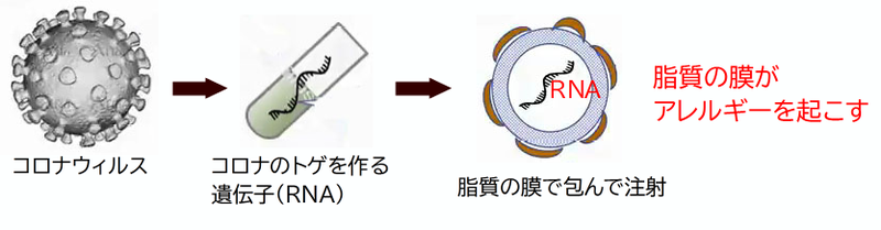 遺伝子ワクチンの脂質粒子